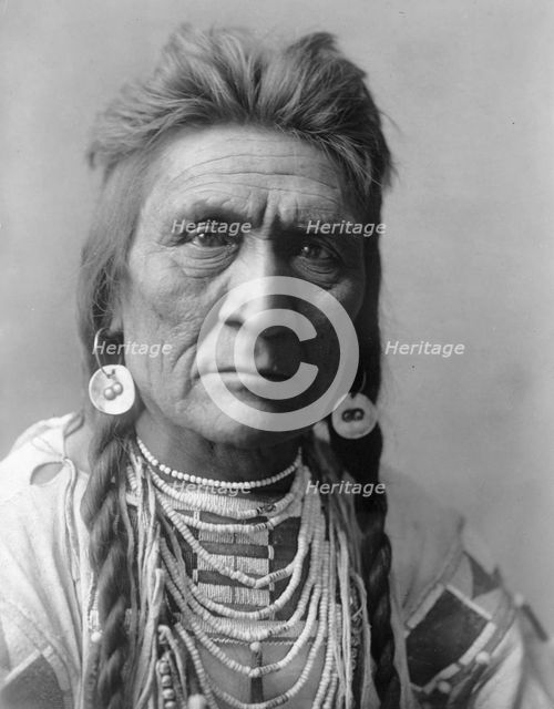 Wolf, c1908. Creator: Edward Sheriff Curtis.