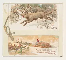 Wolf, from Quadrupeds series (N41) for Allen & Ginter Cigarettes, 1890. Creator: Allen & Ginter