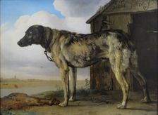 Wolf-Hound, 1650. Creator: Paulus Potter