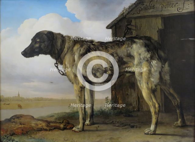 Wolf-Hound, 1650. Creator: Paulus Potter.