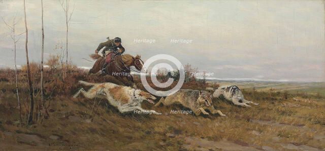 Wolf hunting with borzois .