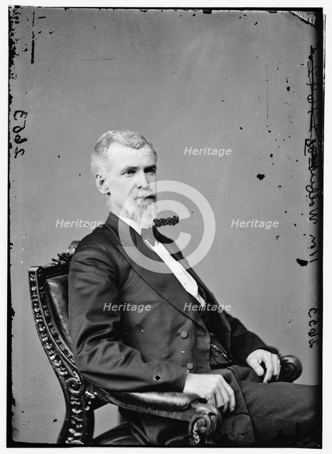 Wolfe, between 1870 and 1880. Creator: Unknown.