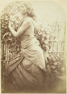 Woman, Ceylon, 1875/79. Creator: Julia Margaret Cameron