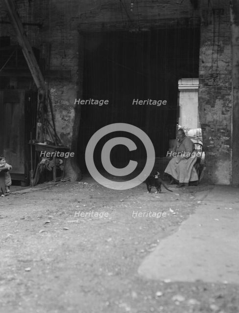 Woman and cats in a courtyard, New Orleans, between 1920 and 1926. Creator: Arnold Genthe.