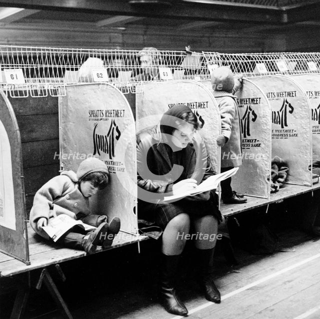 Woman and child at a London dog show, possibly Crufts, 1964. Creator: Henry Grant.