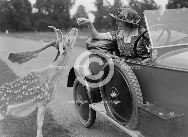 Woman in a BSA car feeding a deer in Richmond Park, Surrey, c1920s. Artist: Bill Brunell.