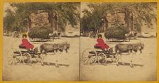 Woman in donkey-drawn carriage, hay wagon in background, 1870s. Creator: Charles A. Beckford