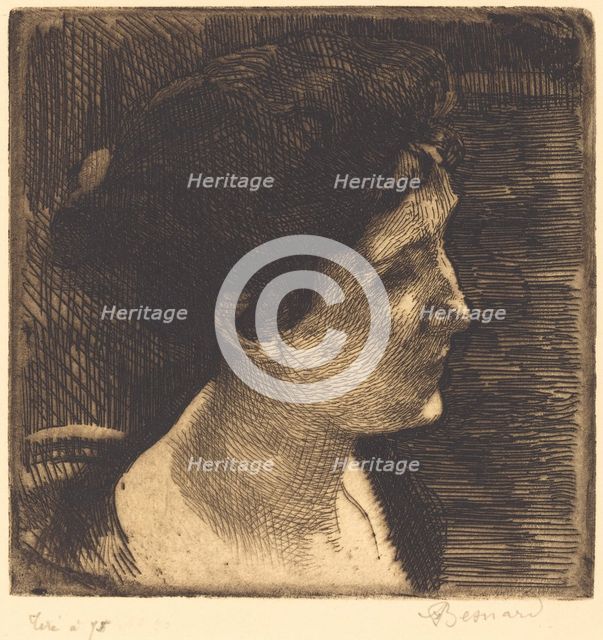 Woman in Full Profile (Grand profil de femme), 1892. Creator: Paul Albert Besnard.
