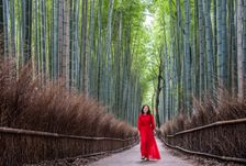 Woman in Red. Creator: Dorte Verner