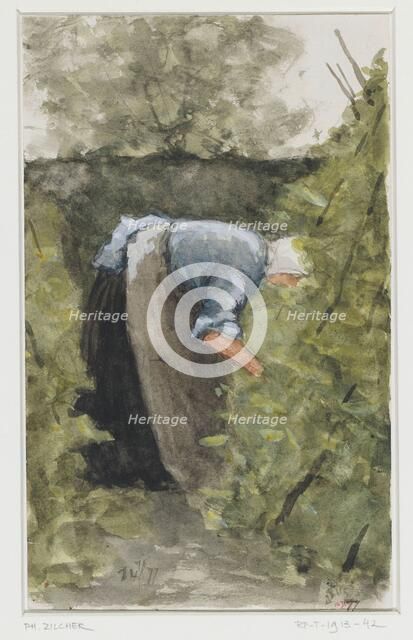 Woman in the vegetable garden, 1877. Creator: Philip Zilcken.