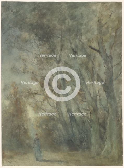 Woman on a forest path, 1838-1915. Creator: Johannes Gysbert Vogel.