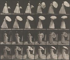 [Woman Opening Parasol], 1883-86, printed 1887. Creator: Eadweard J Muybridge