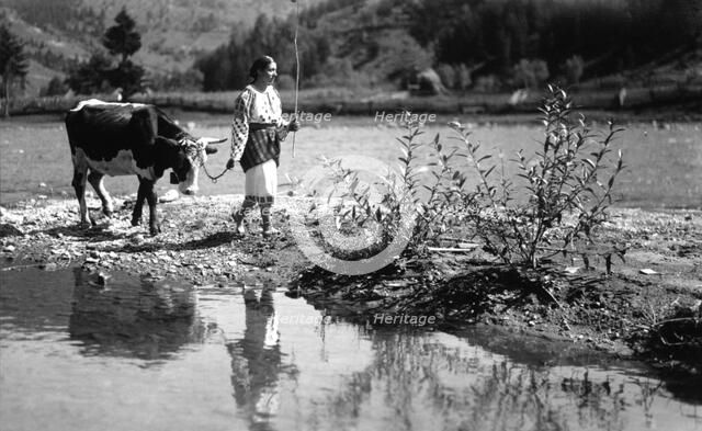 Woman leading an ox, Bistrita Valley, Moldavia, north-east Romania, c1920-c1945. Artist: Adolph Chevalier