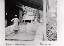 Woman stands in a sugar crushing mill, Dominica, 1897