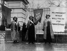 Woman Suffrage - Picket Parade, 1917. Creator: Harris & Ewing