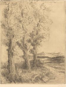 Woman Reading: Lesson under the Trees (La liseuse: La lecture sous les arbres). Creator: Alphonse Legros