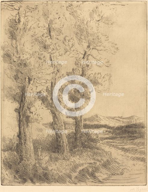 Woman Reading: Lesson under the Trees (La liseuse: La lecture sous les arbres). Creator: Alphonse Legros.