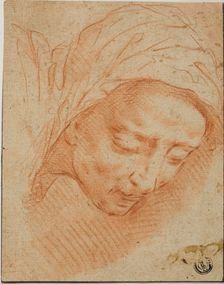 Woman's Head, n.d. Creator: Bernardino Poccetti