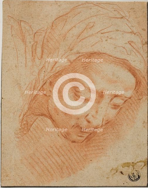 Woman's Head, n.d. Creator: Bernardino Poccetti.