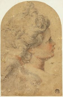 Woman's Profile to Right, n.d. Creator: Camillo Procaccini