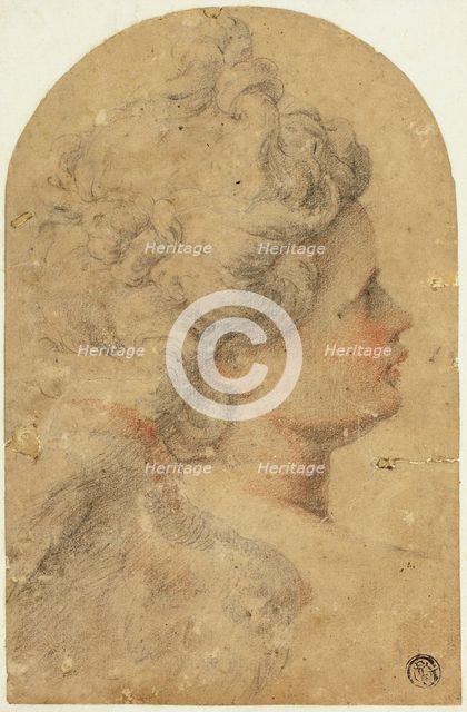 Woman's Profile to Right, n.d. Creator: Camillo Procaccini.
