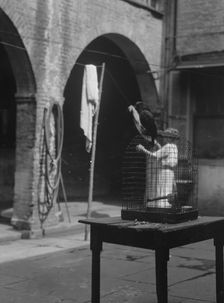 Woman working in a courtyard, New Orleans, between 1920 and 1926. Creator: Arnold Genthe
