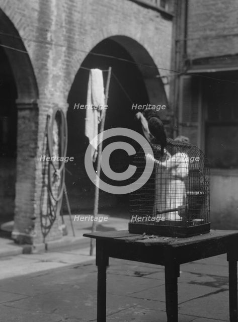 Woman working in a courtyard, New Orleans, between 1920 and 1926. Creator: Arnold Genthe.