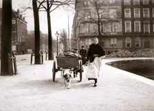 Woman with dogcart, Rotterdam, 1898.Artist: James Batkin