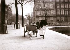 Woman with dogcart, Rotterdam, 1898.Artist: James Batkin
