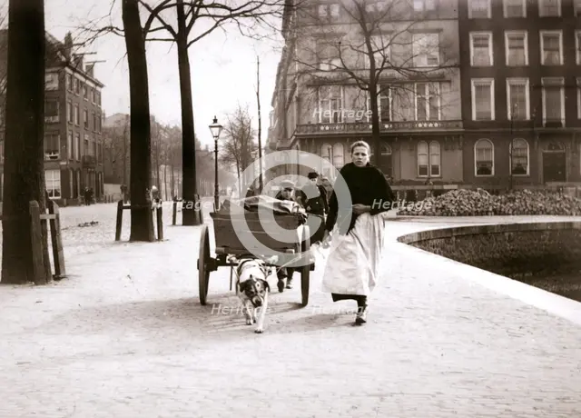 Woman with dogcart, Rotterdam, 1898.Artist: James Batkin