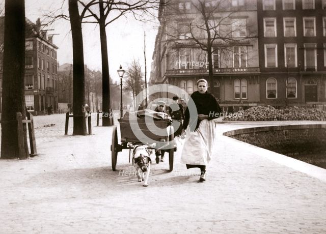Woman with dogcart, Rotterdam, 1898.Artist: James Batkin