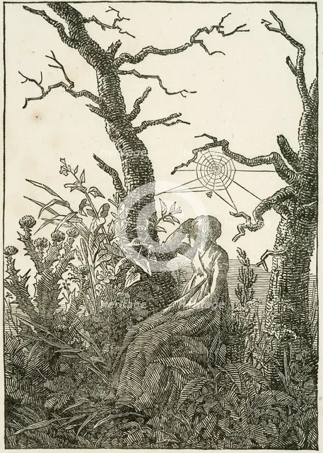Woman with Spider's Web Between Bare Trees, 1803. Creator: Caspar David Friedrich.