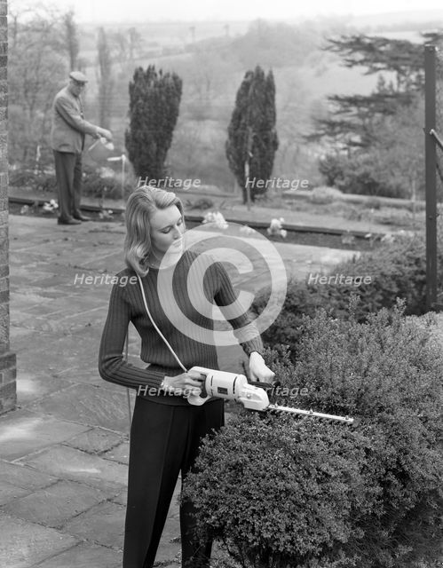 Woman using Stanley electric garden shears, 1965. Creator: Michael Walters.