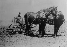 Woman's Land Army of Calif., between c1915 and c1920. Creator: Bain News Service