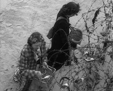 Women Collecting Fish Caught on Barbed Wire, 1940. Creator: British Pathe Ltd