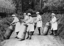 Women churning milk, c1940s(?). Creator: Unknown