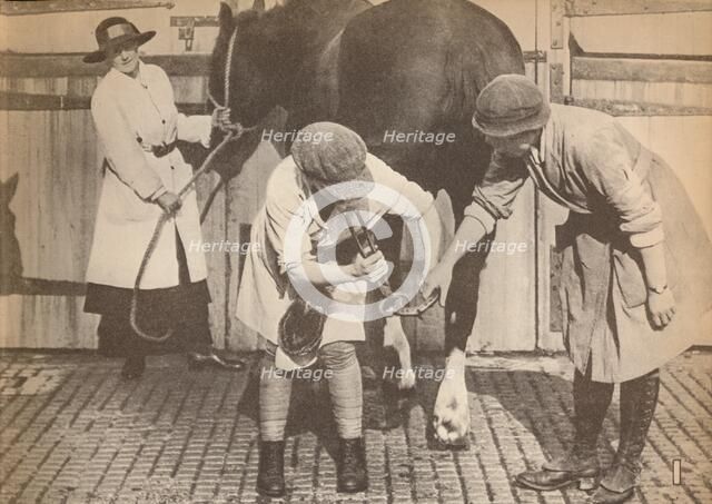 'Women as farriers in the horse hospital of a big firm of haulage contactors', c1916, (1935). Artist: Unknown.