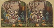 Women at pond, about 1865. Creator: London Stereoscopic & Photographic Co