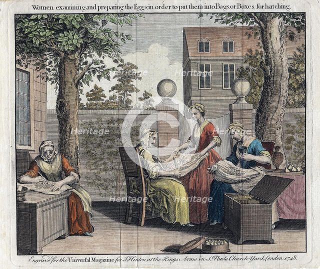 Women examining silk moth eggs and putting them in boxes for hatching into caterpillars, 1748. Artist: Unknown