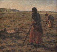 Women harvesting heather, 1906. Creator: Jens Vige
