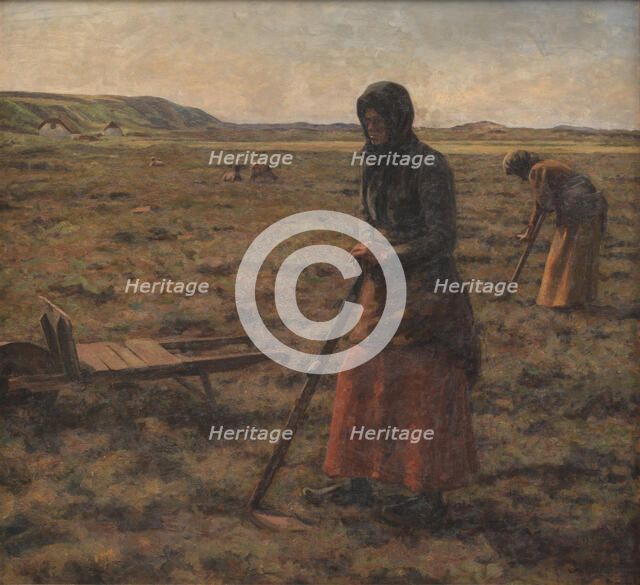 Women harvesting heather, 1906. Creator: Jens Vige.