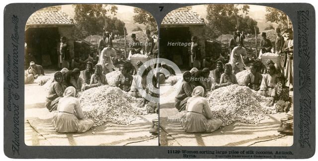 Women sorting large piles of silk cocoons, Antioch, Syria, 1900s.Artist: Underwood & Underwood