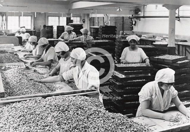 Women sorting nuts, Rowntree factory, York, Yorkshire, 1933. Artist: Unknown
