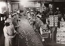 Women packing Court Biscuits, Norwich, Caley factory, Norfolk, 1937