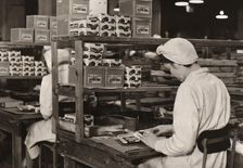 Women packing Dairy Box chocolates, Rowntree factory, York, Yorkshire, 1948