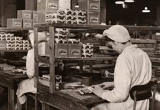 Women packing Dairy Box chocolates, Rowntree factory, York, Yorkshire, 1948