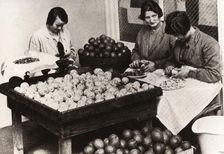 Women peeling lemons for the manufacture of Cloudy Lemon Squash, 1923