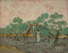 Women Picking Olives, 1889. Creator: Vincent van Gogh