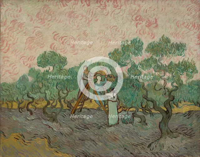 Women Picking Olives, 1889. Creator: Vincent van Gogh.
