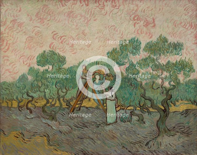 Women Picking Olives, 1889. Creator: Vincent van Gogh.